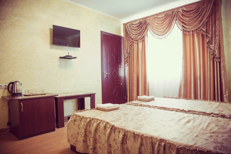 Standard Twin room with view