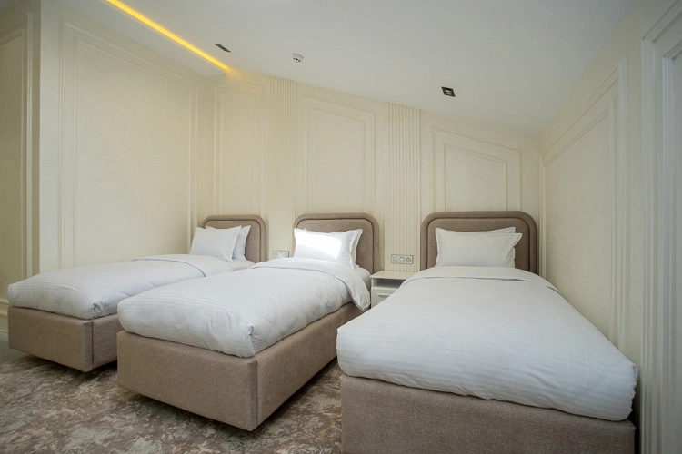 Attic Junior Suite