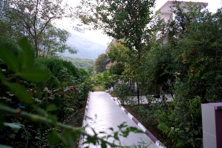 Фотография отеля