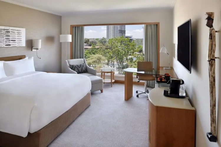 Executive room with view
