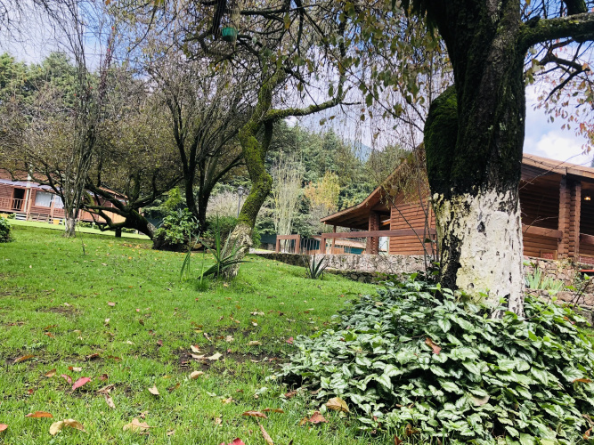 EcoCamp Ajusco Rotamundos Camping