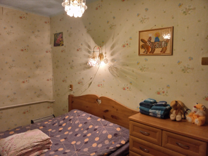 Фотография номера квартиры Квартира Пальмовая ветвь