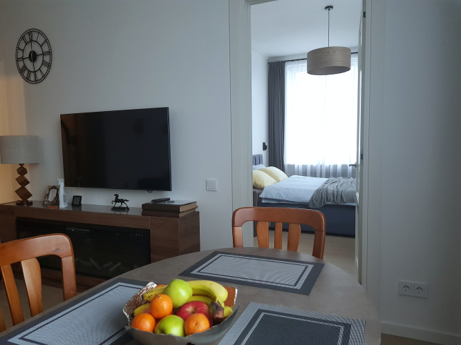 Фотография номера квартиры Апартаменты Ленинградская квартира