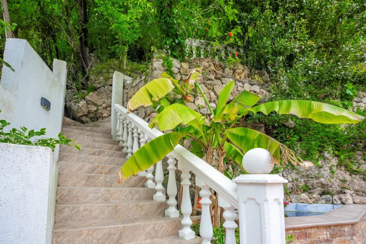CICLAMINO Guest house