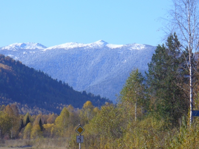 Каракокша Алтай