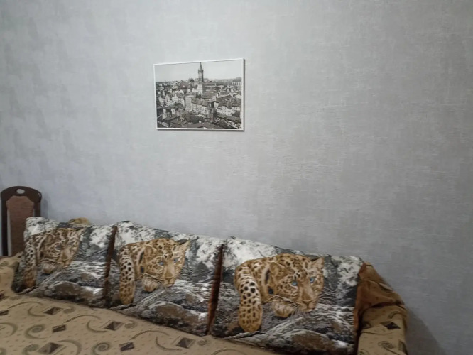 Фотография номера квартиры Апартаменты Трёхкомнатная Комфортная на Воейкова