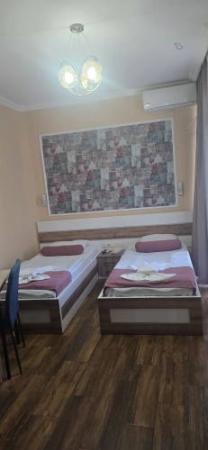 Standard Twin room with balcony and with view