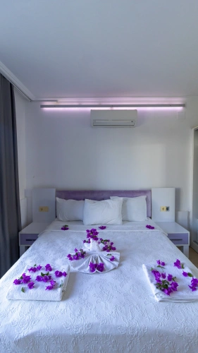 1 Bedroom Suite with balcony and with pool view