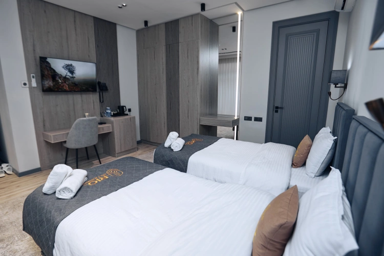 Standard Twin room with view