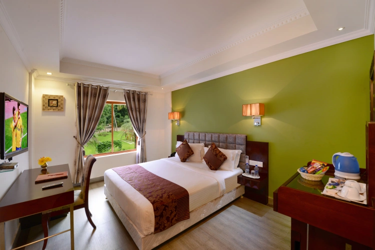 Superior Double room with view