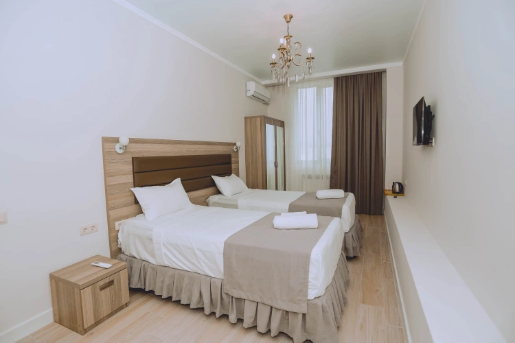 Standard Double room with balcony and with view