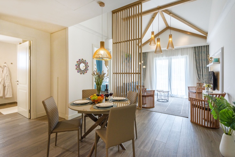 1 Bedroom Apartment with balcony and with mountain view
