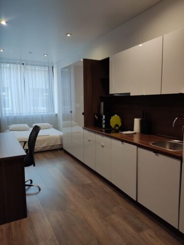 Фотография номера квартиры Апартаменты Apartanik Малышева 42 а-313