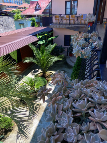 Anzhelika Guest House