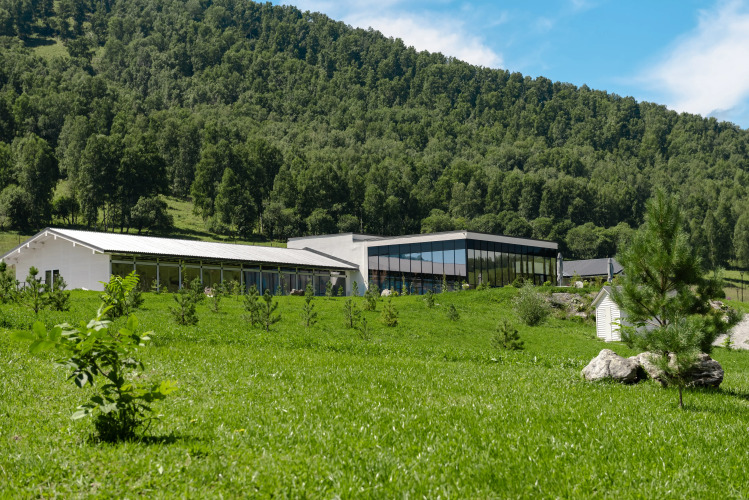 Изображение 1