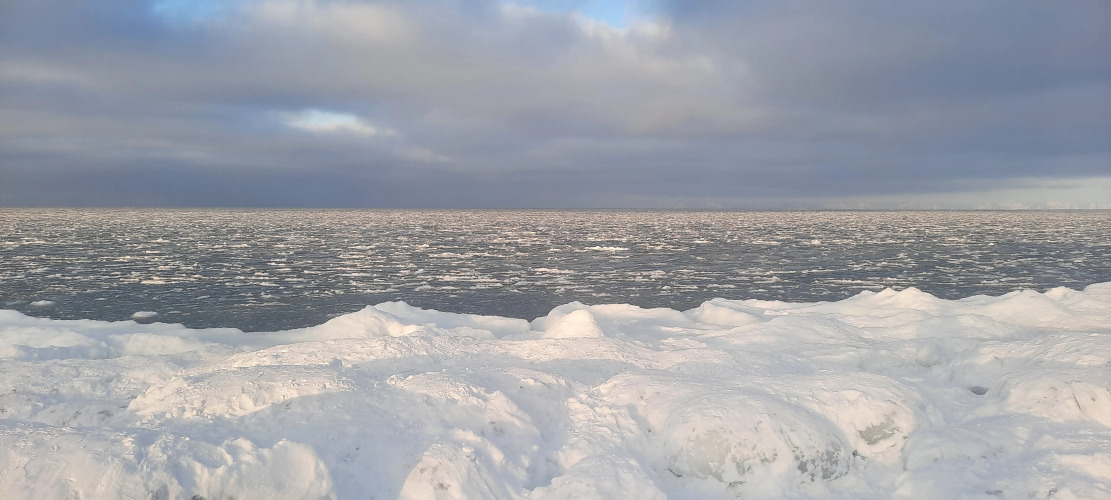 Фотография номера гостиницы Аршан