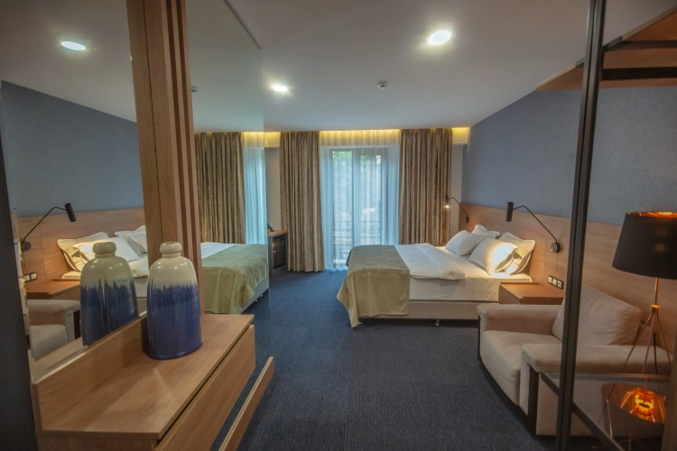 Deluxe Double room with balcony and with view