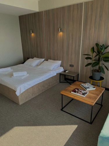Standard Double room with balcony and with mountain view across the road