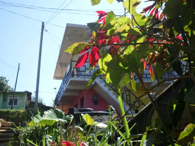 Outside