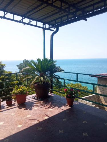 Mimoza Guest House