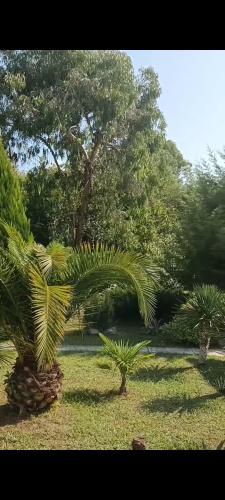 Mampre Villa