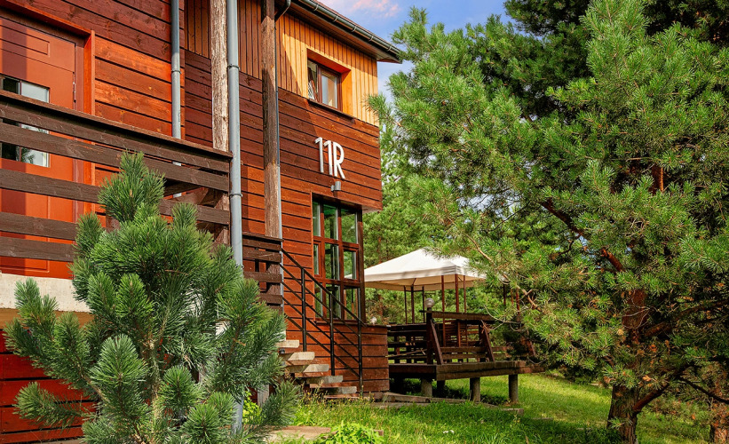   - изображение 1