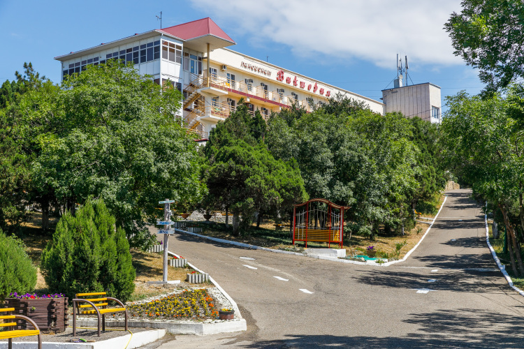 Отель Виктория