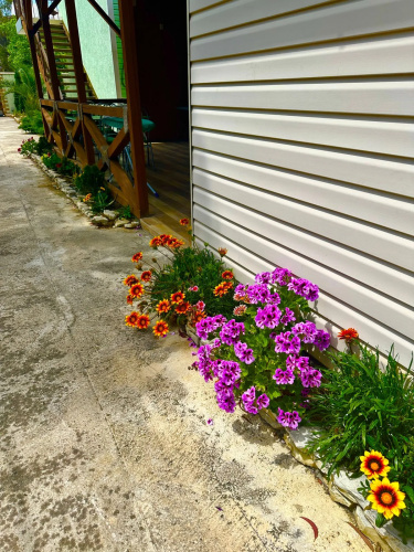V Tikhoy Gavani Guest house