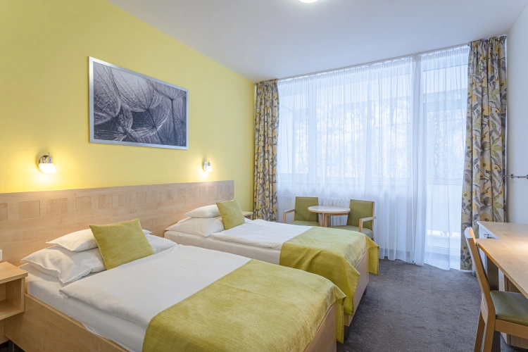 Comfort Twin room with balcony and with view