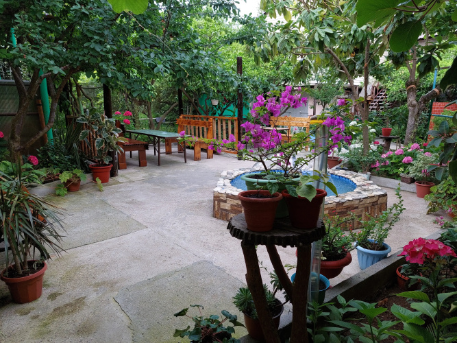 Domik U Zhoki Mini hotel