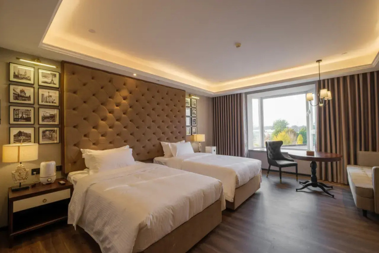 Business Twin room with city view