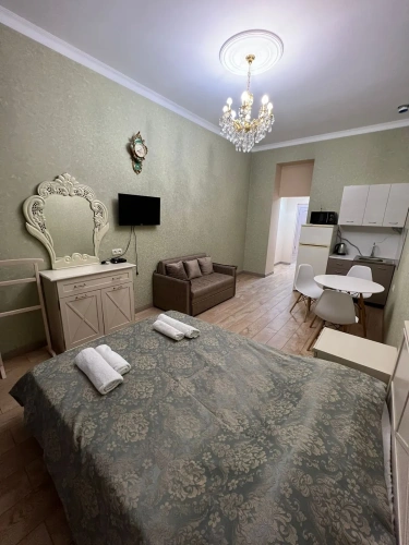 1 Bedroom Apartment with balcony and with view