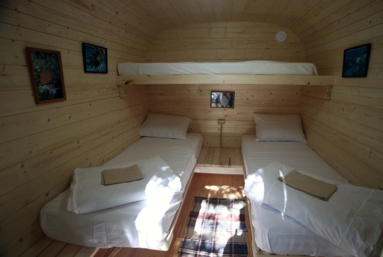 Фотография номера кемпинга GREENWOOD