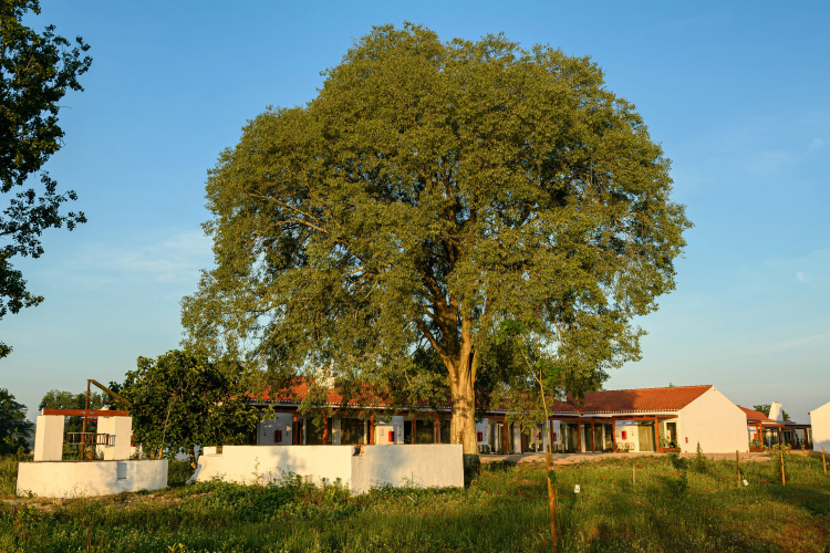 Sorraia Hotel