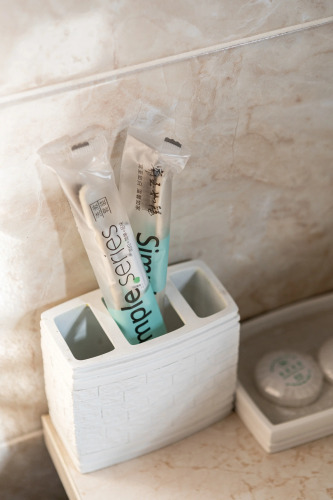 Фотография номера гостиницы Soluxe Hotel