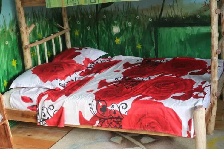 Standard Double room with balcony and with view