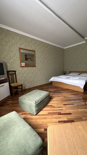 Фотография номера гостиницы Shin