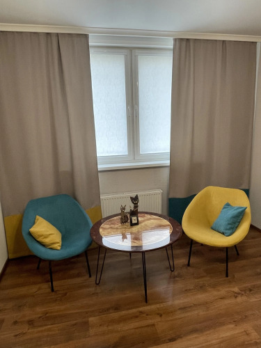 Фотография номера квартиры Апартаменты на Сельме