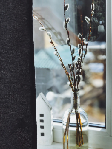 Фотография номера гостевого дома Husky Moa