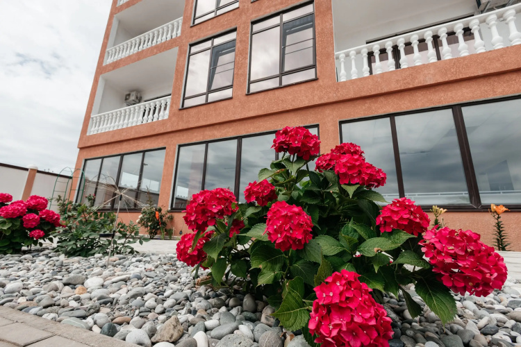 Briz 55 Guest house
