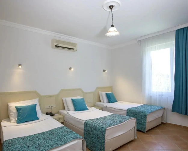 Standard Triple room with view