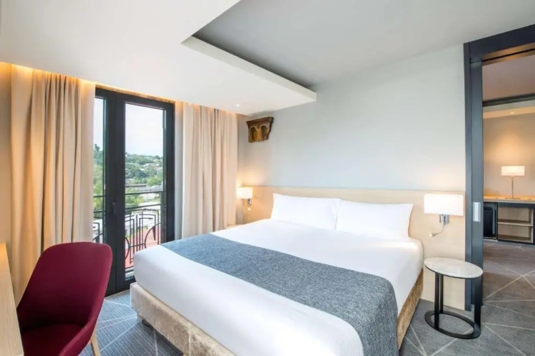 Deluxe Room Suite