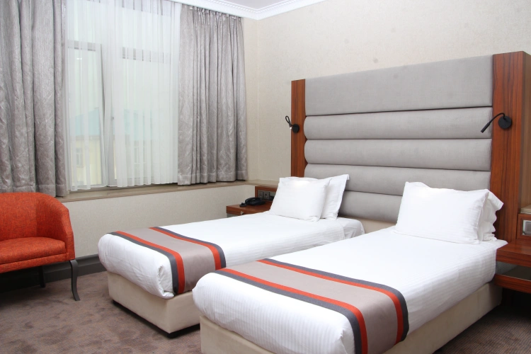Standard Twin room with city view