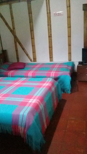 Standard Quadruple room with view