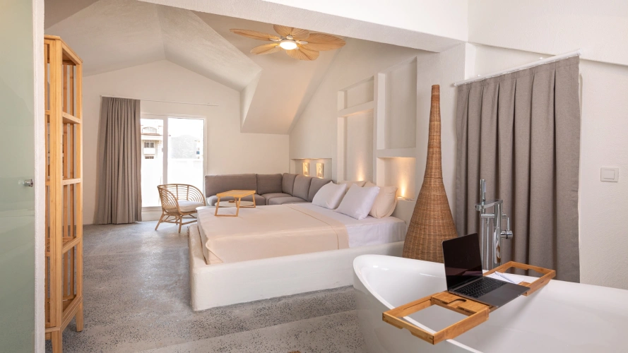 Double Penthouse with balcony and with city view