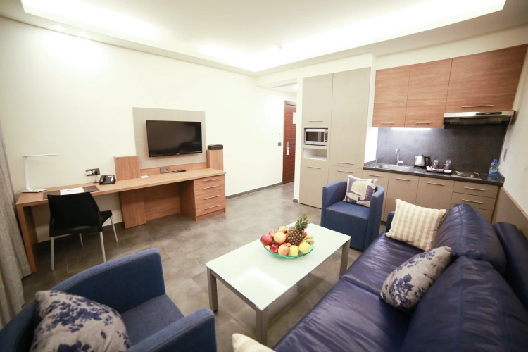 1 Bedroom Apartment with balcony and with view