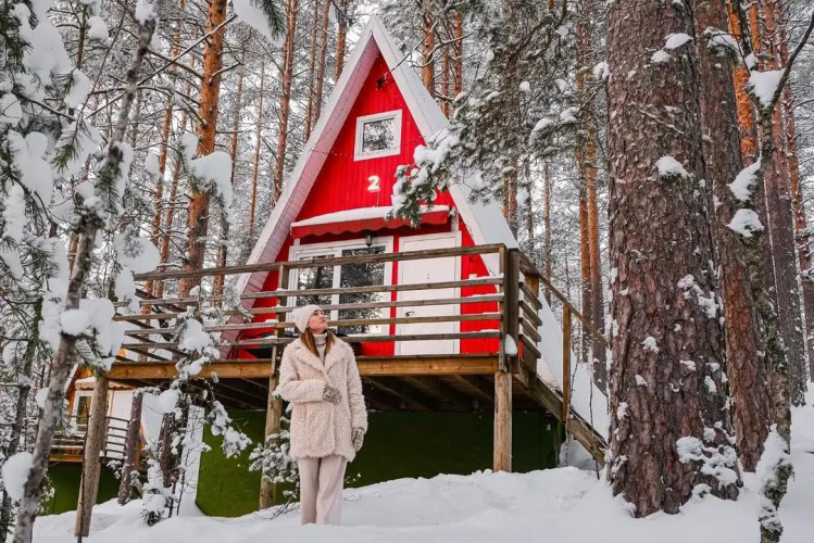 Фотография номера гостиницы Гринвальд Парк Скандинавия