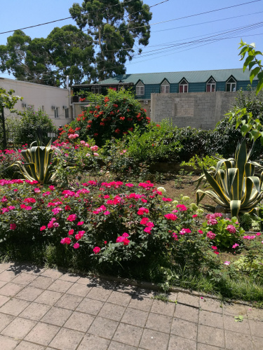 Guest House Villa Roza