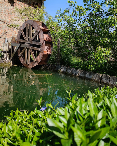 Фотография номера Коттеджа Частный дом Горная Роза