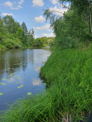 Recreation camp Zeleny Lug